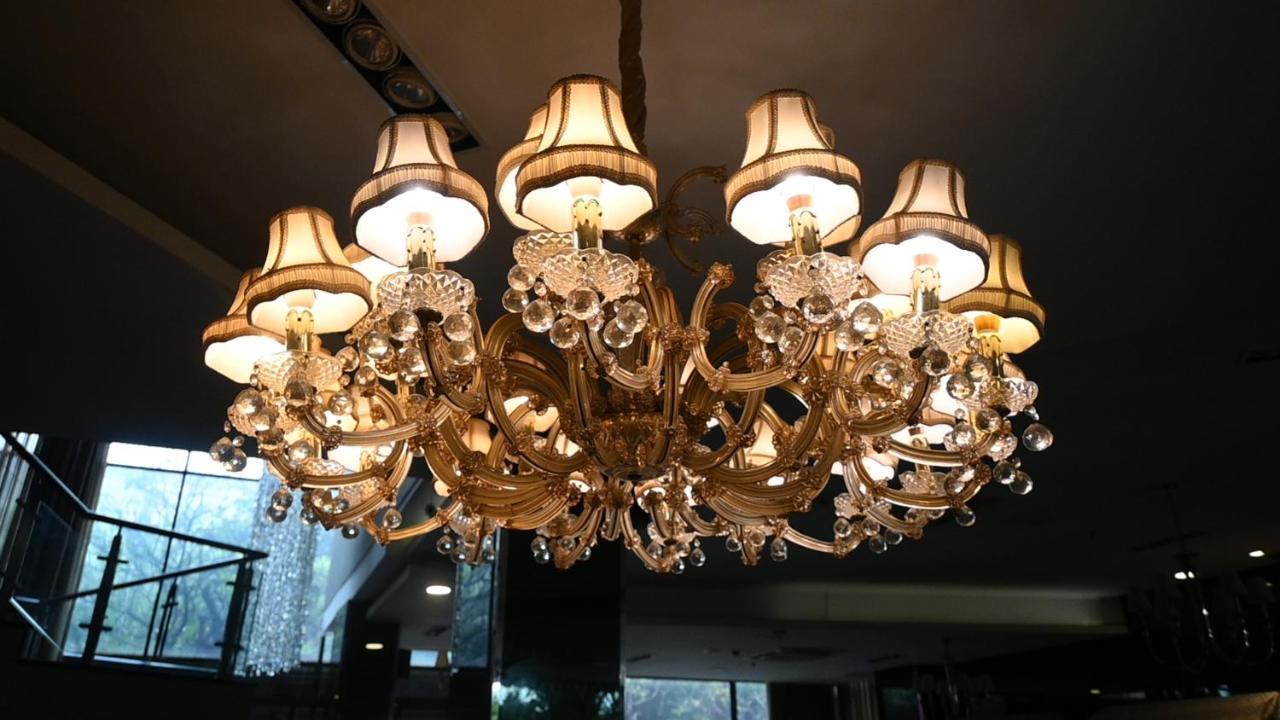Amaroossa Cosmo ג'קרטה מראה חיצוני תמונה